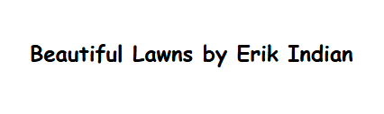 Beautiful Lawns By Erik Indian